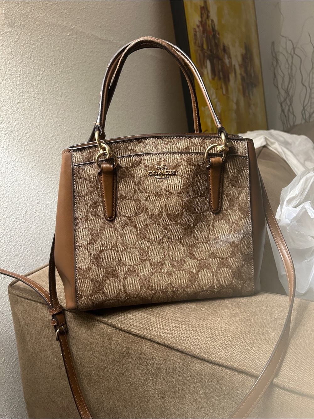 Coach Signature Canvas Tote in Brown and Tan